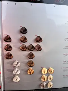 cb767637-cb46-4e8b-8a82-bbebbad7c54c.jfif