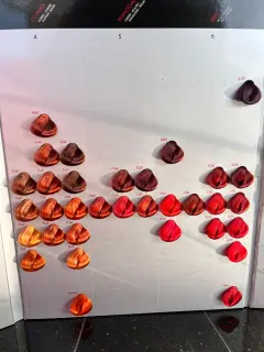 6e929395-6e2b-4b1f-a16a-91cbb0db081d.jfif